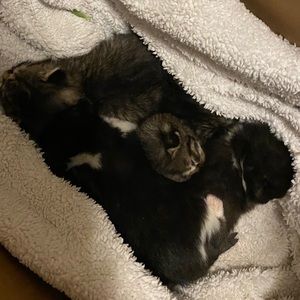 Meet your Posher, Janet